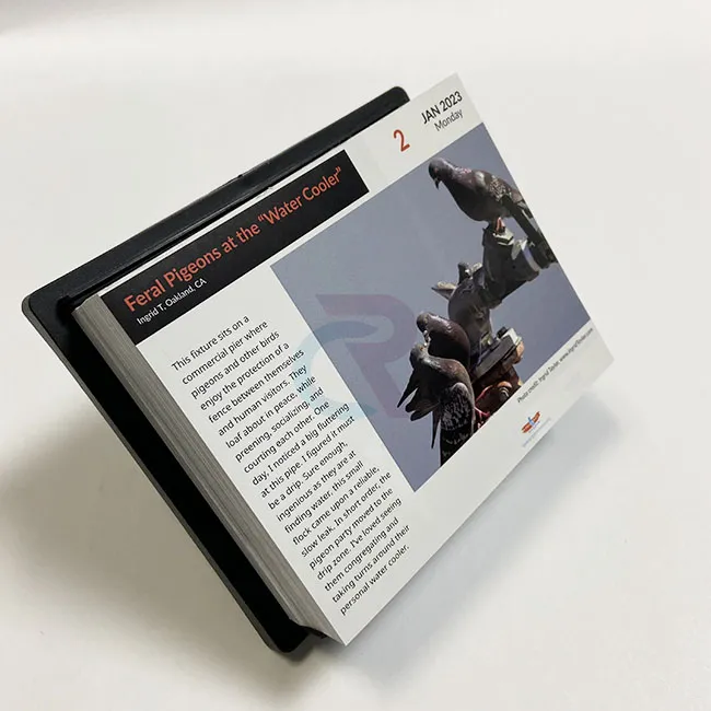 Quomodo Custom Designs Incorporari in Verme Page-a-day Calendars?