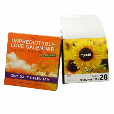 Cur Lorem Typographia Elevat tuum Daily Page-A-Day Calendar