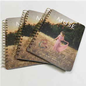 Intellectus quomodo Libri